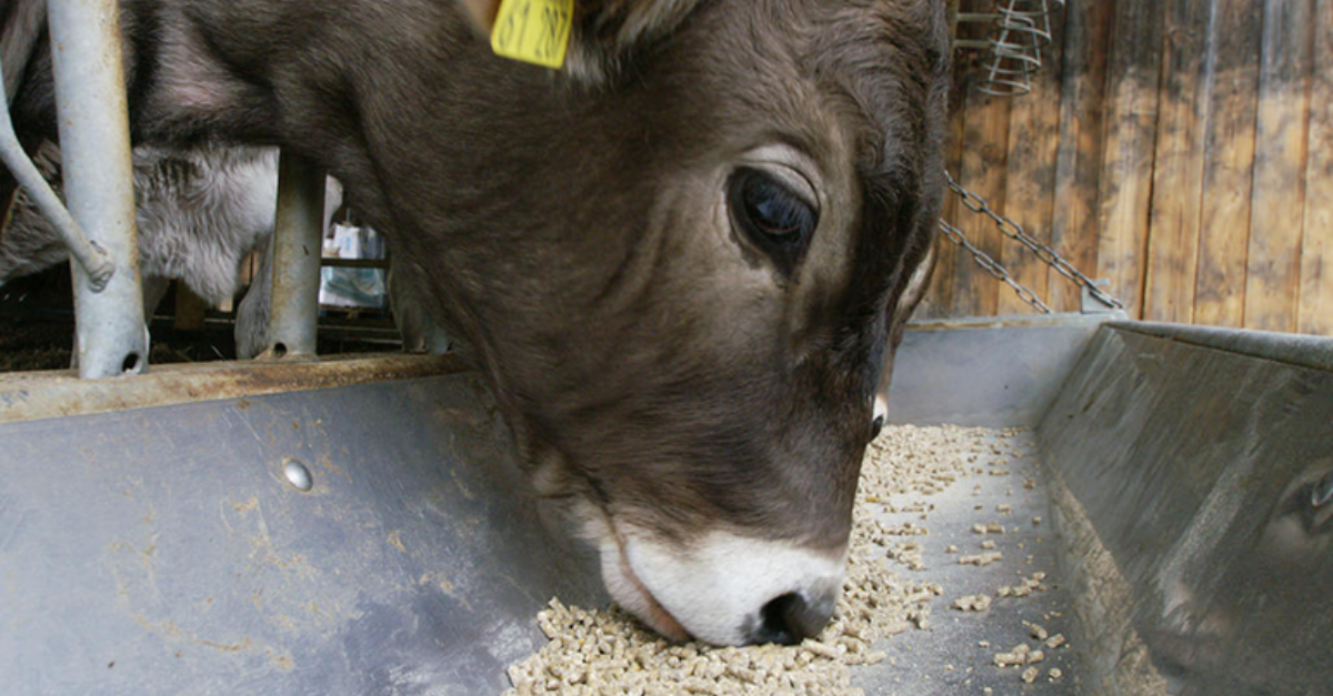 Fullsize Header_Newsletter (6)